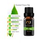 Ylang Ylang Buhurdanlık Yağı Aromaterapi Yağ Difüzör Esansı Buhur Yağ Oda Kokusu 10 Ml.